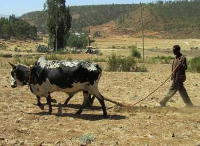 באהר דאר אתיופיה